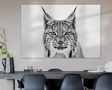 Lynx van Poster Art Shop