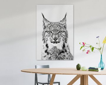 Lynx van Poster Art Shop