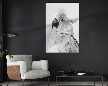 Kaketoe in zwart-wit van Poster Art Shop