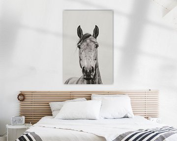 Paardenportret van Poster Art Shop