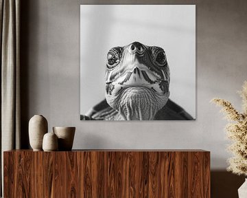 Schildpad van Poster Art Shop