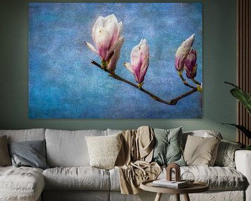 Magnolia flower buds are on stand by Rietje Bulthuis