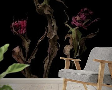 3 dancing tulips in the night. by Karel Ham