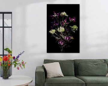 compositie van gedroogde rembrandt tulpen van Karel Ham