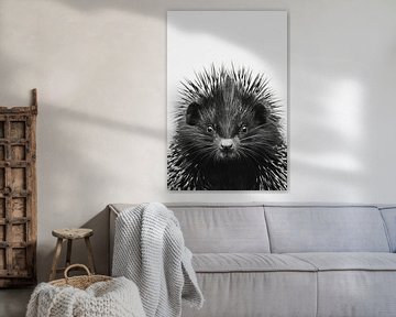Stekelvarken van Poster Art Shop