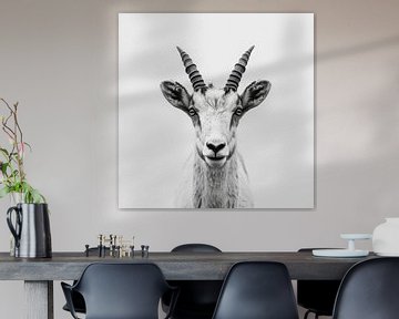 Steenbok in zwart-wit van Poster Art Shop