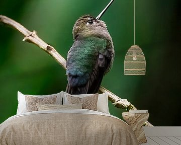 Hummingbird by Romy Oomen