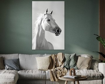 Gracieus Paard in Zwart-Wit van ByNoukk