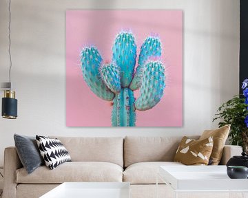Kaktus von Poster Art Shop