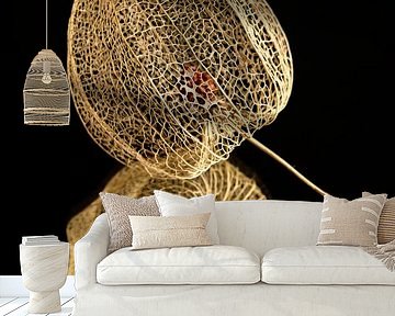 Die Strukturen der Unbeständigkeit von Marjolijn van den Berg