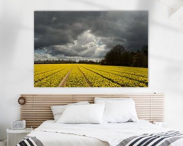 Yellow flowers under a dark sky