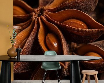 The warm colours of star anise by Marjolijn van den Berg