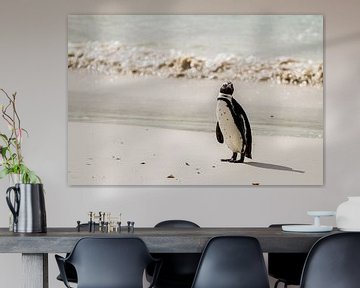 Penguin by Jan van Kemenade