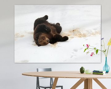 Brown bear in the snow by Antwan Janssen
