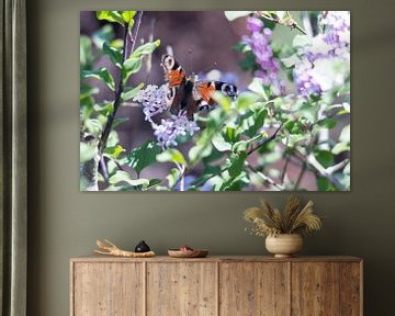 vlinder op sering van Plinck Fotografie