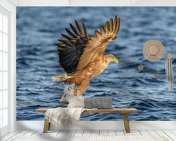 Zeearend op jacht in een fjord