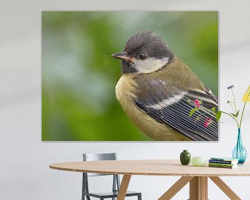Portret - Koolmeesje van arnemoonsfotografie