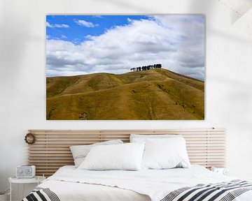 Die Hügel von Blenheim in Neuseeland von Ricardo Bouman Fotografie