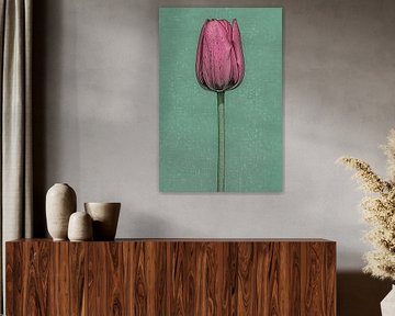 Beautiful pop-art painting of a tulip