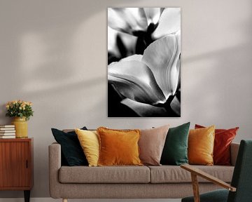 Tulpen in zwart-wit van Anouschka Hendriks