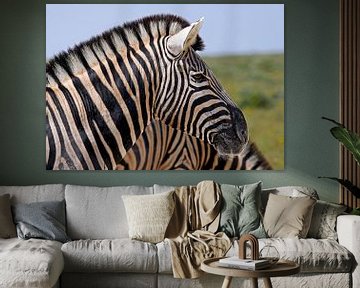 Zebra in - Afrika wildlife van W. Woyke