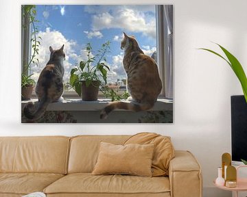 Katzen am Fenster von Egon Zitter