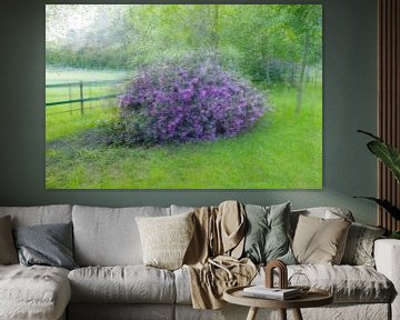 Schilderachtige Rododendrons in West-Brabant: Een Fotografie Wonder