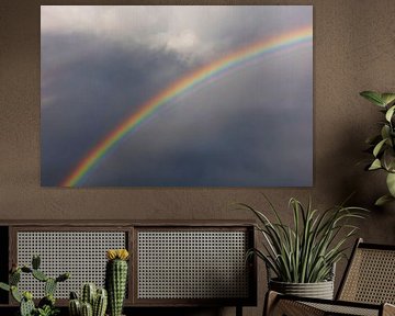 Schöner Regenbogen