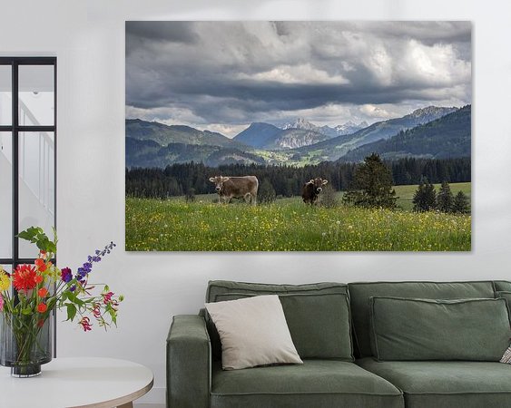 Aperçu de la chambre