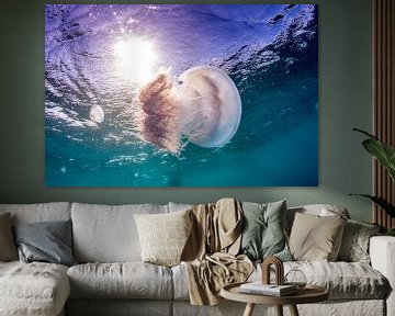 Jellyfish in the sun by Jan van Kemenade