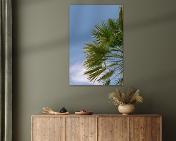 Oprijzende Palmbomen: Een Boog van Natuurlijke Pracht van Mélanie Roelandts
