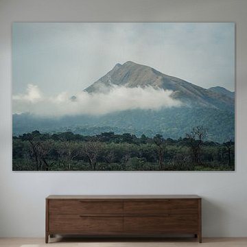 Voyage à travers l'Afrique et les jungles de Guinée jusqu'au Mont Nimba