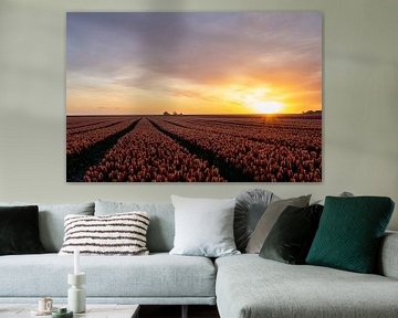 Tulpen veld tijdens zonsopkomst. van Charlotte Gohl