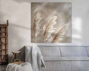 Pampas grass by Poster Art Shop