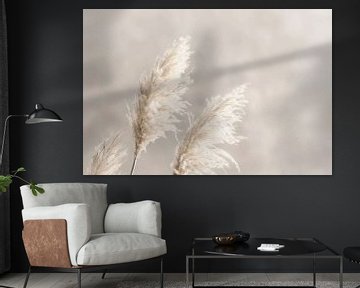 Pampagras in zachte beige tinten van Poster Art Shop