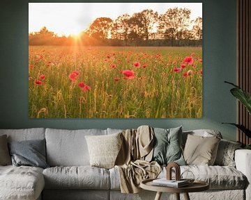 sunset poppy field van Ronald Beelen