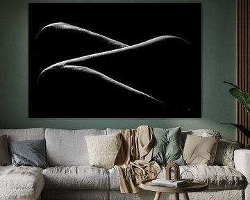 Bodylines von Dirk Smets