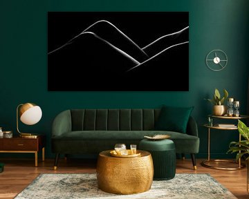 Body triangles van Dirk Smets