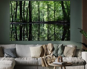 Reflectie van Bomen in het Bos in het Water van Piet Hein Schuijff