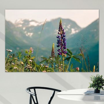 Flowers in the mountains