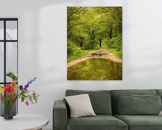 Aperçu de la chambre