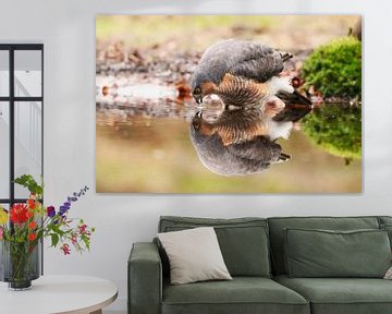 Spiegelbeeld vertel eens even ....