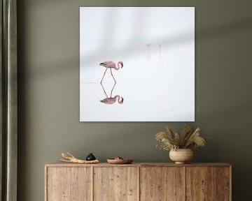 Flamingo, 1 +2 in Namibia by Ton van den Boogaard