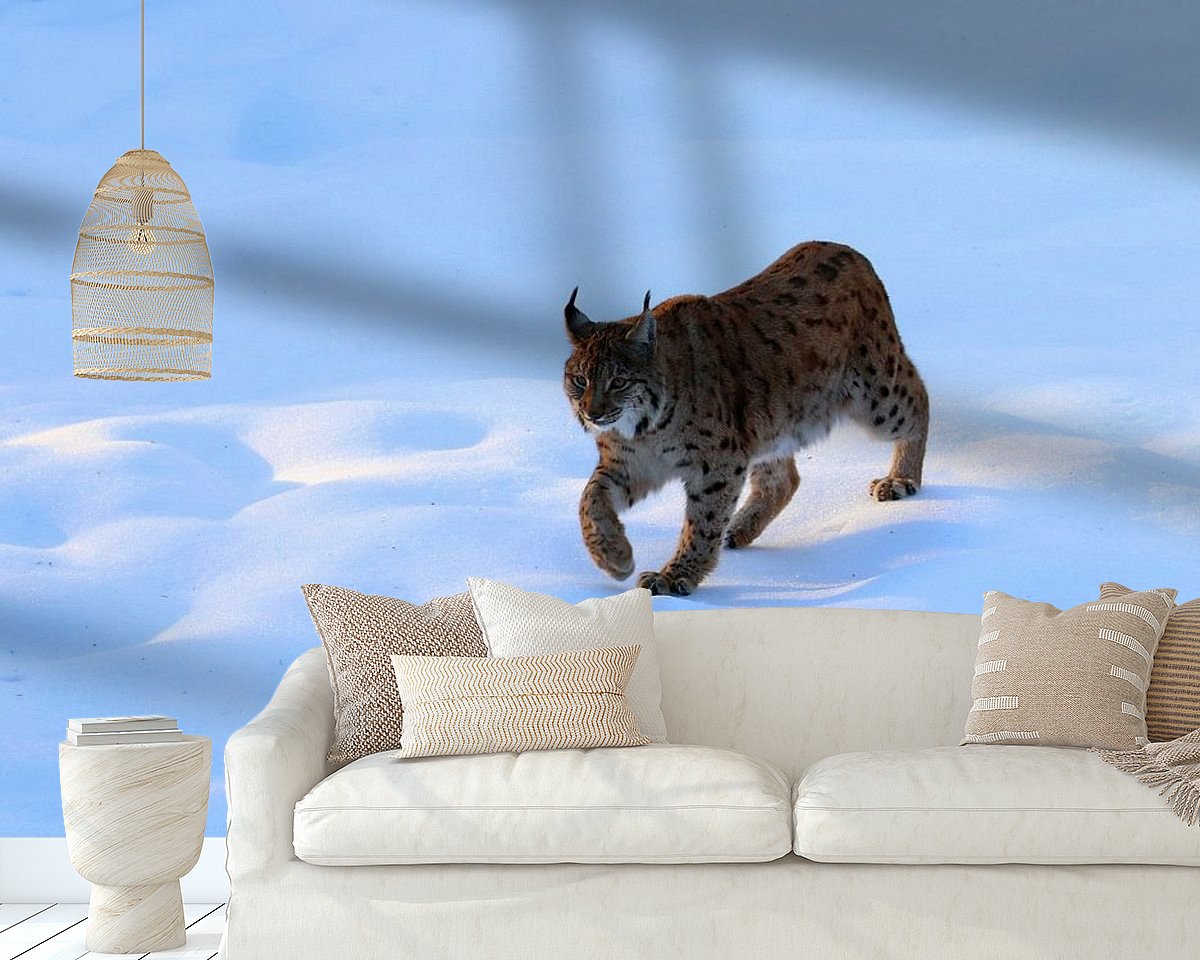 Raumvorschau