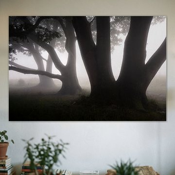 An einem nebligen Herbstmorgen...