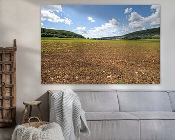 Freshly sown fields in Treuchtlingen, Germany by de-nue-pic