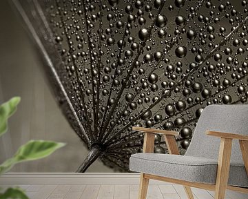 Dunkel und hell: Tropfen auf einem Flaum des Morgensterns (Tragopogon) von Marjolijn van den Berg