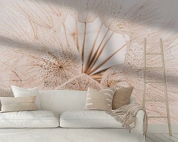 The missing fluff: A morning star (Tragopogon) with water droplets by Marjolijn van den Berg