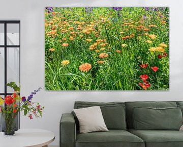 Bloemenweide met calendula en klaproos aan het Bodenmeer van Werner Dieterich