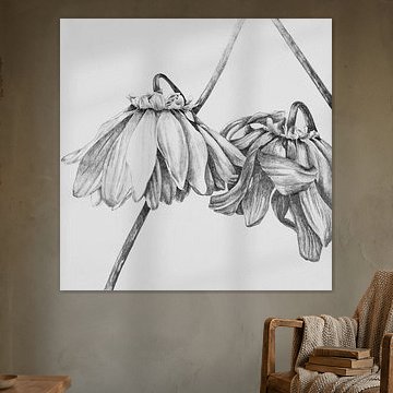 La beauté de la décomposition